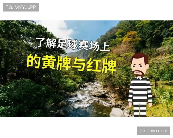 禁赛规则：红牌直停与黄牌累计的判定标准
